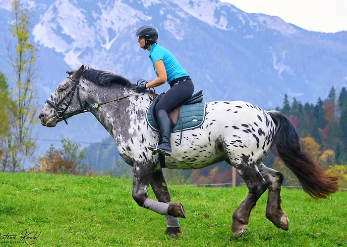 Gut Enghagen Рослайтен