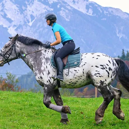 Gut Enghagen Rossleithen