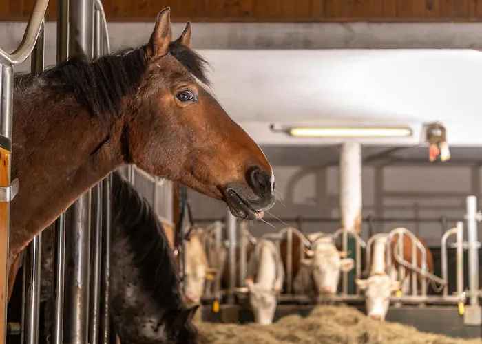 Gut Enghagen Aparthotel Rossleithen