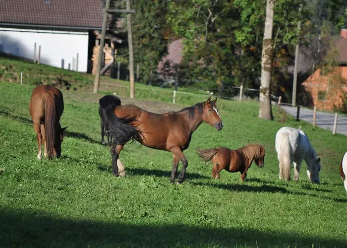 Gut Enghagen Aparthotel